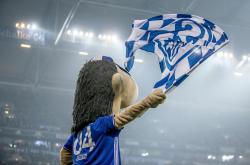 开云体育在线-关于沙尔克击败对手，球队连胜势头不减的信息