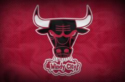 开云体育平台APP-广厦激战森林狼，锡安里程碑之夜诠释篮球的无限可能