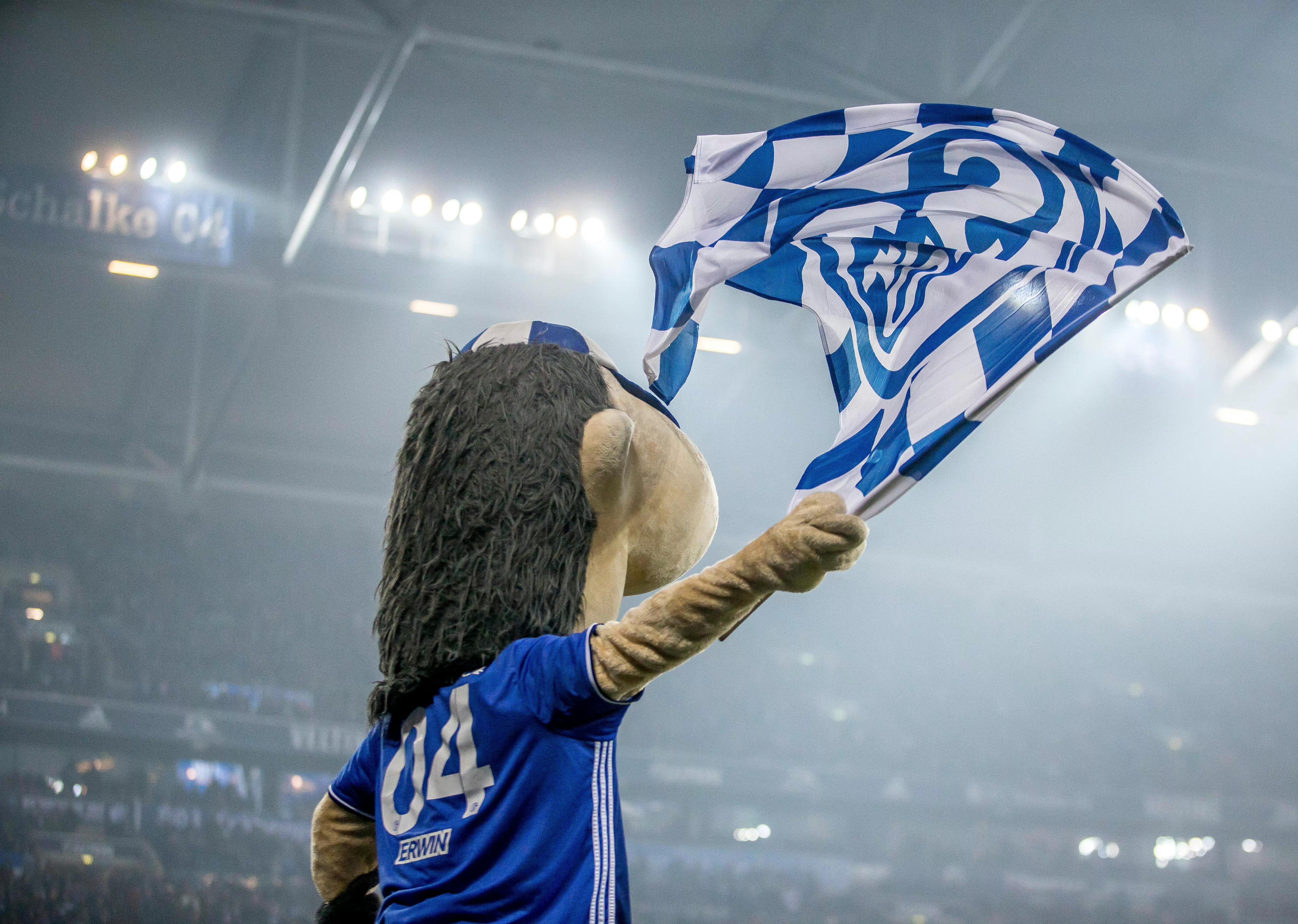 关于沙尔克击败对手，球队连胜势头不减的信息