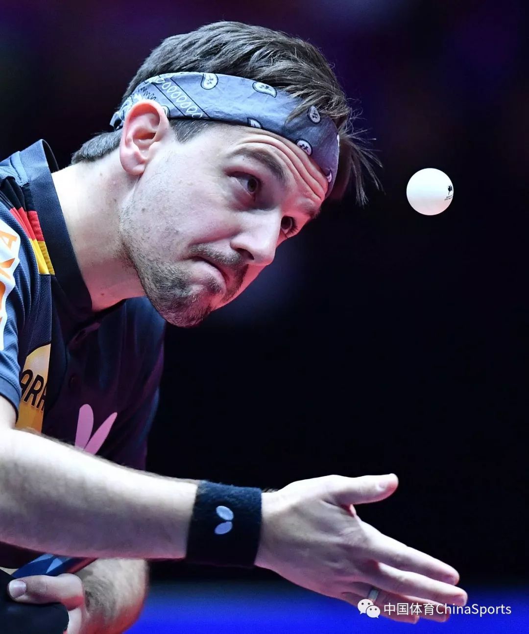 包含法国乒乓球队轻取波兰乒乓球队，波尔统治全场的词条