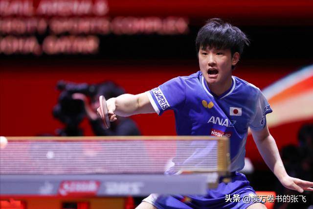 关于德国队鏖战中国队，张本智和关键制胜的信息
