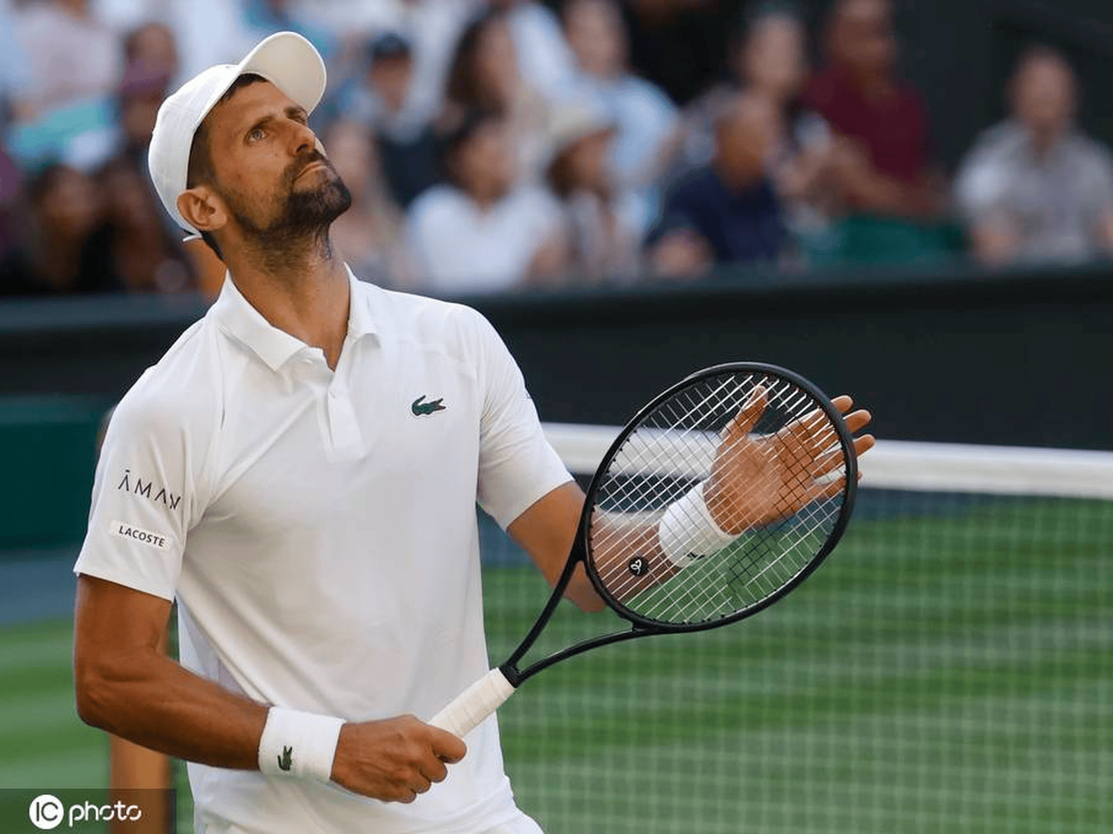 联合杯横扫温网，德约科维奇状态火热的简单介绍