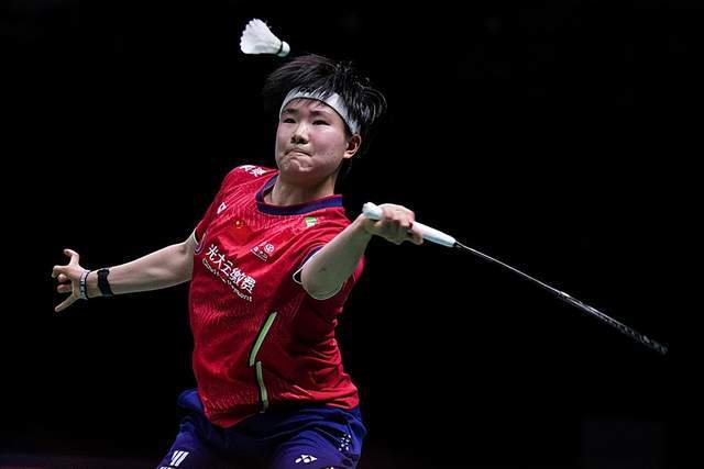 法国队逆转德国队，戴资颖状态火热的简单介绍