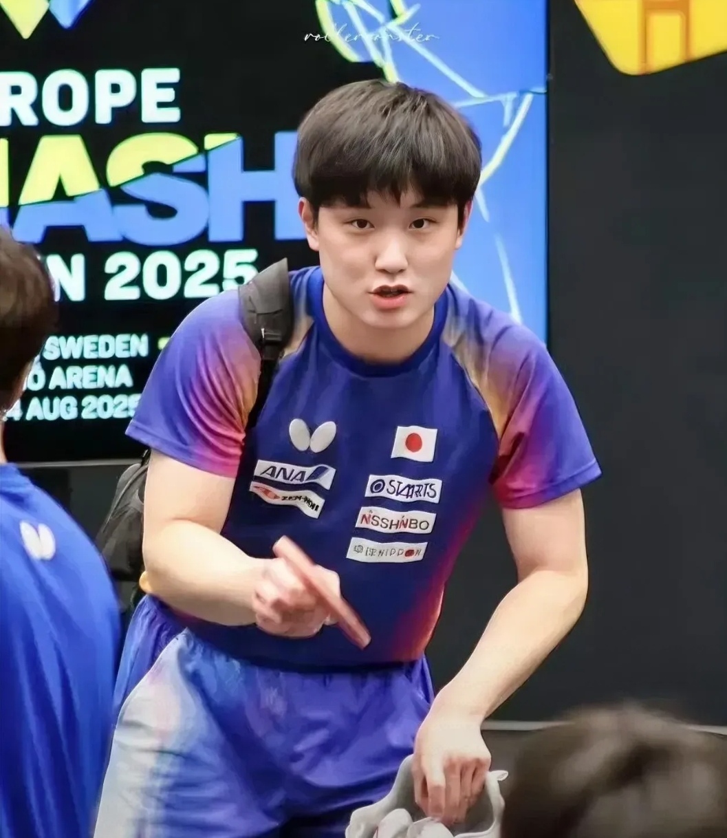 包含波兰乒乓球队轻取英国乒乓球队，张本智和高光表现的词条